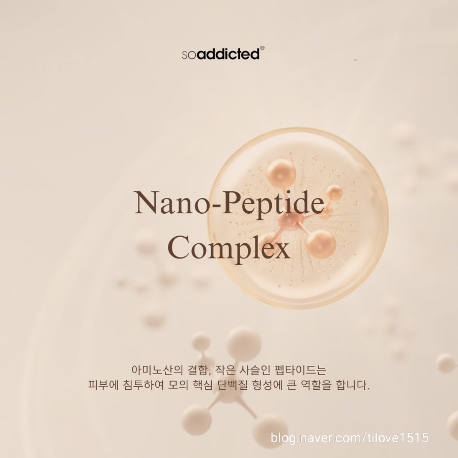래쉬살롱 이미지