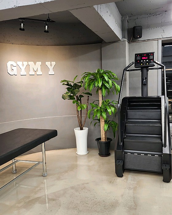 Y.GYM 이미지