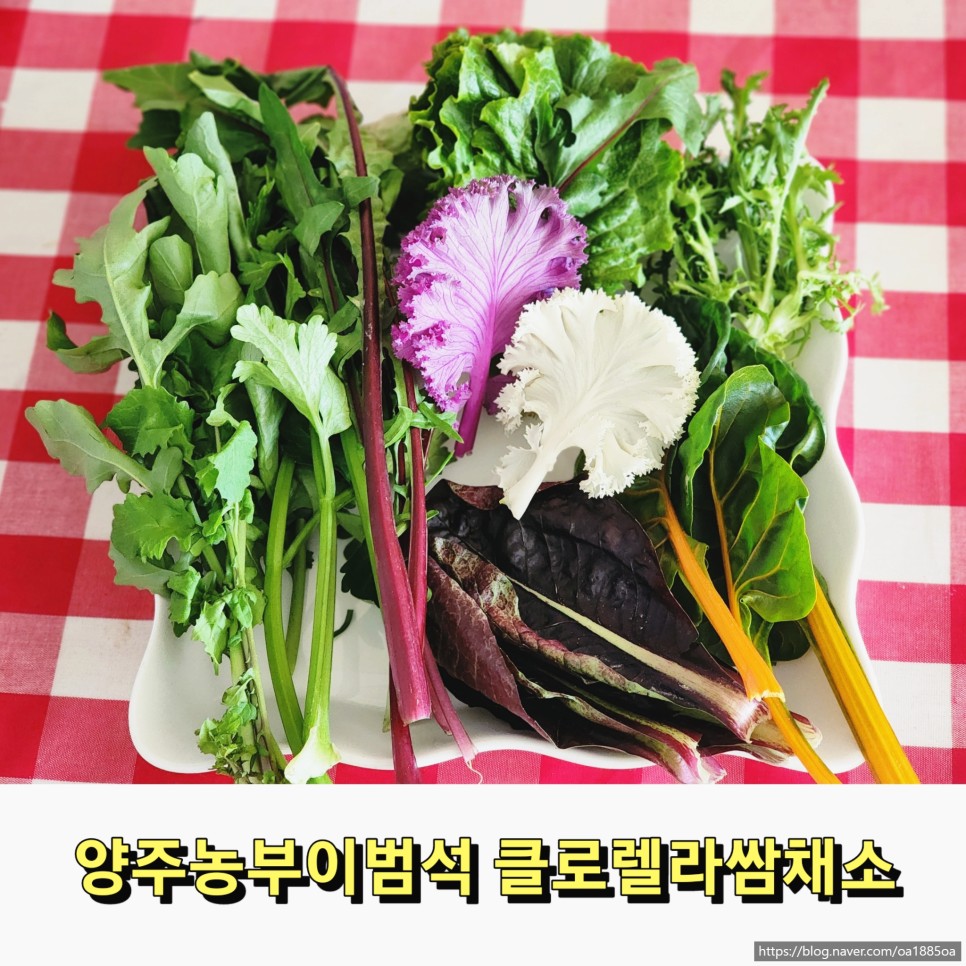 농부의꿈 이미지