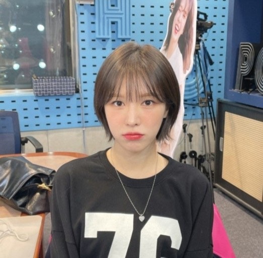 엘린헤어 이미지