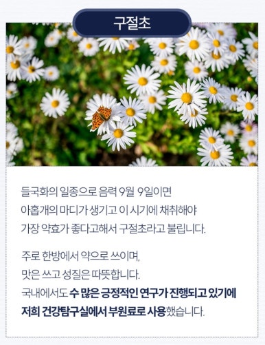 건강탐구실 이미지
