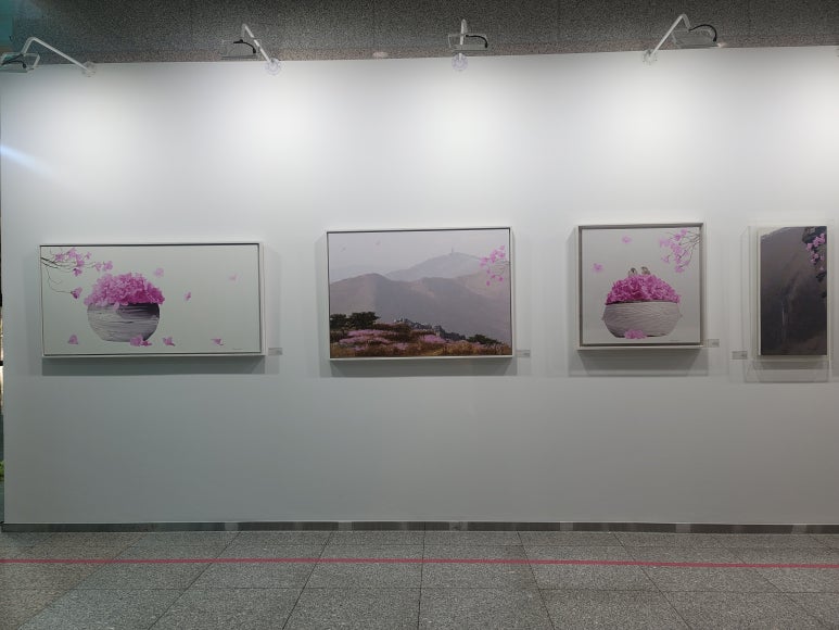갤러리위즈아츠S 이미지