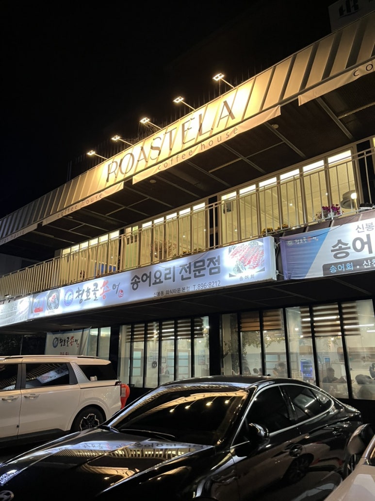 청호골송어 이미지