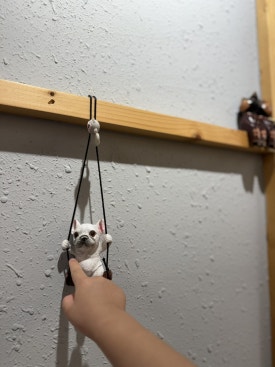 부타우동 이미지