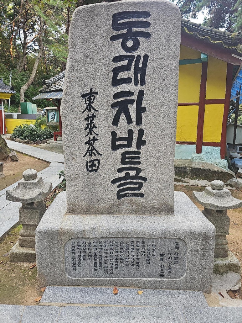 사단법인 한국다도협회 이미지
