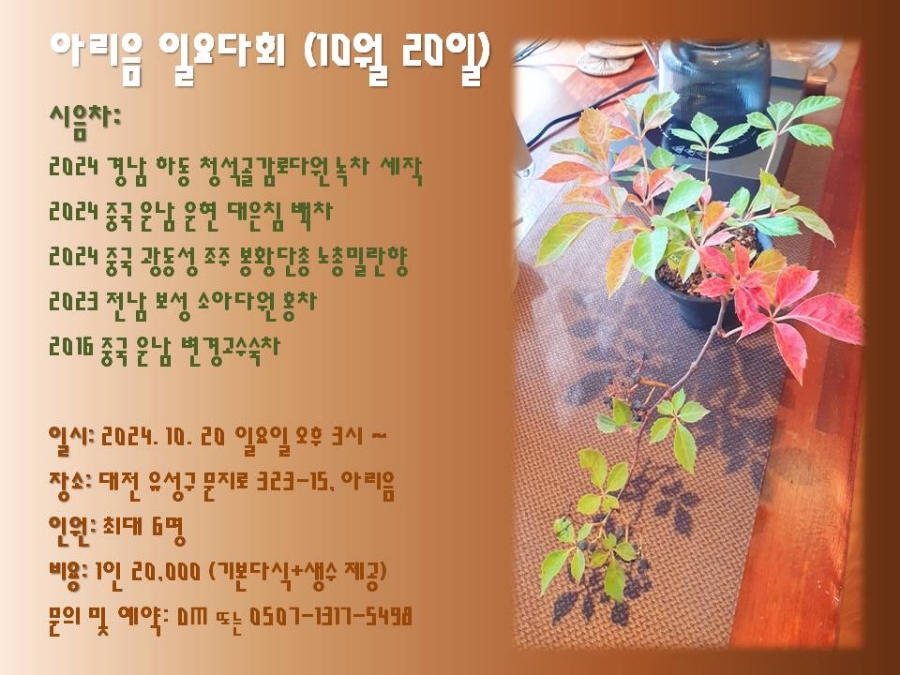 아리음 이미지