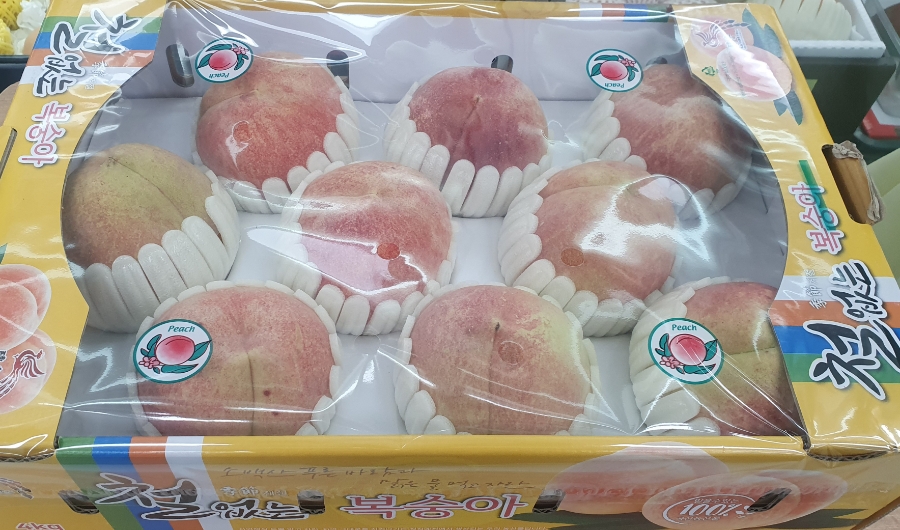 해피푸릇 이미지