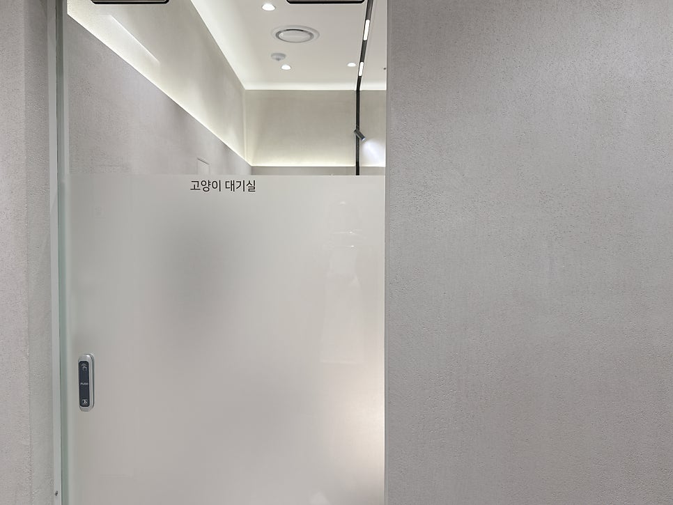 강아지 심장 초음파 검사 비용 및 후기: 예은동물병원 — 사진 6