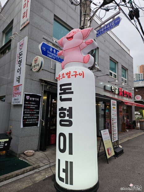 돈형 이미지