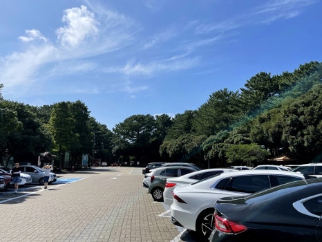 감성커피한라 이미지