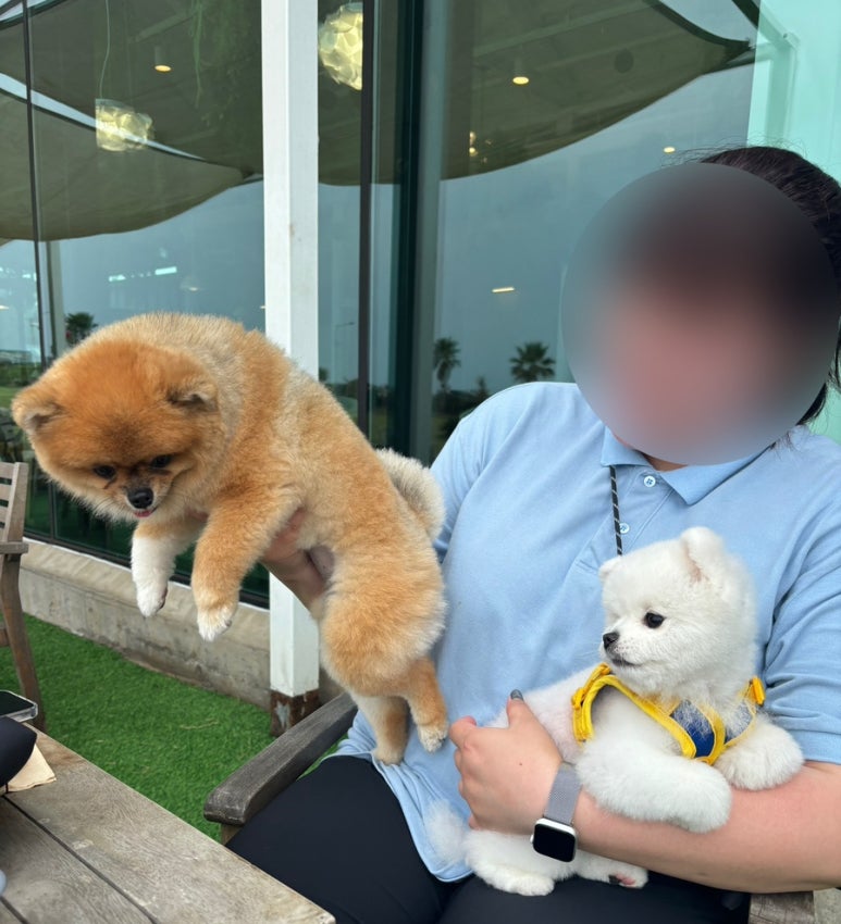 빅프렌즈미디어카페 이미지