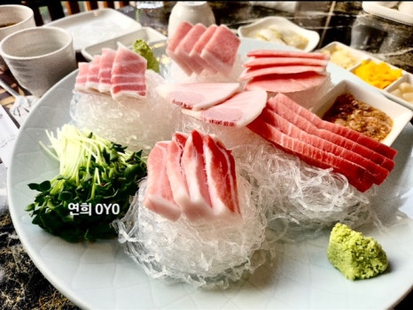 한참치 이미지