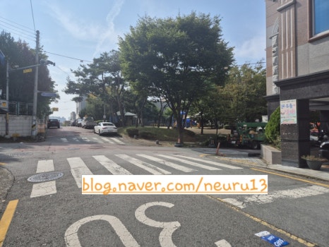 담아스킨바디 이미지