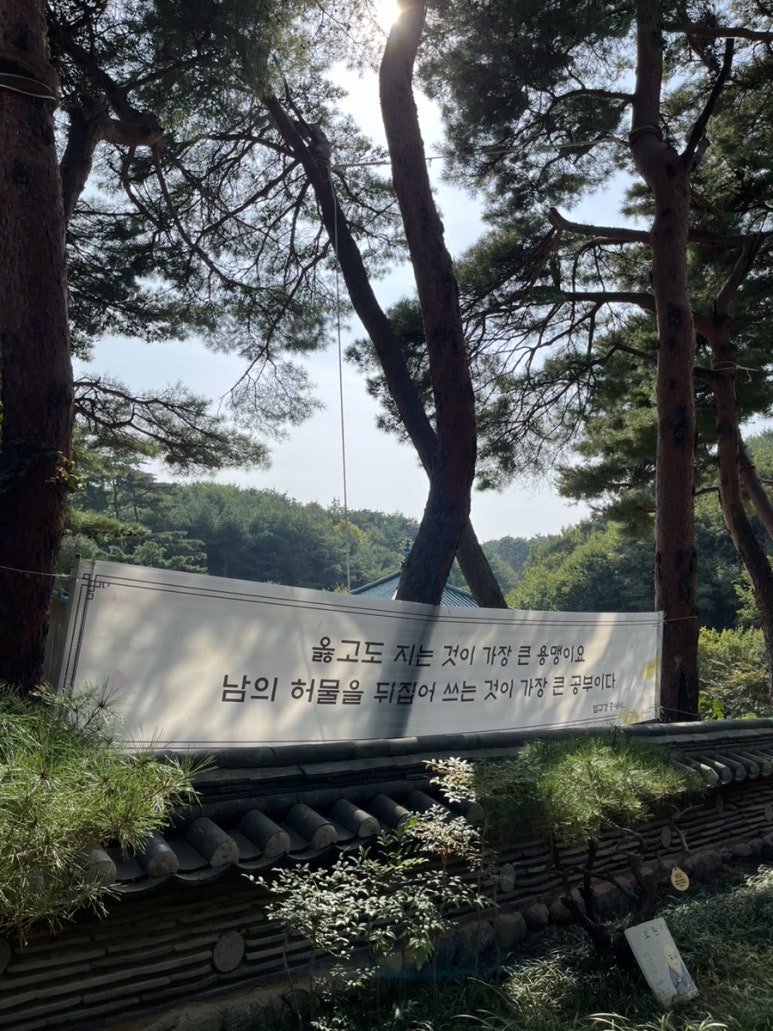 법전카페 이미지