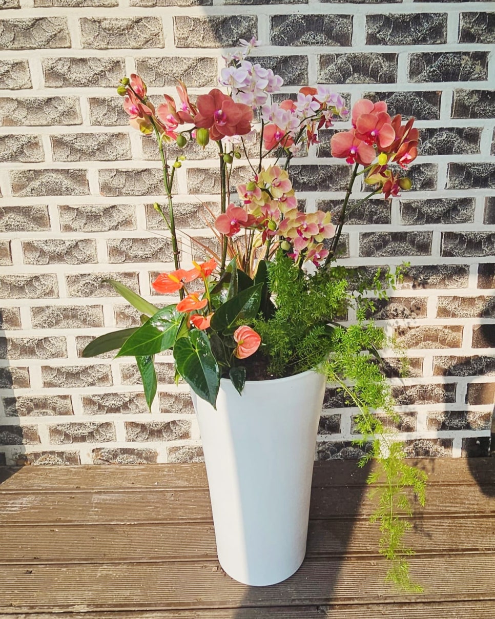 꽃썸 이미지