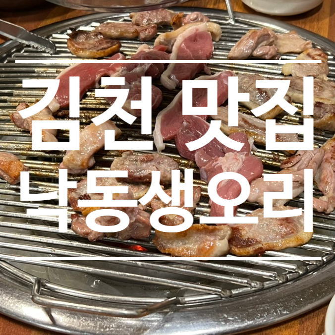 감동생오리 이미지
