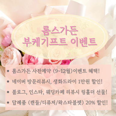 롬스 이미지