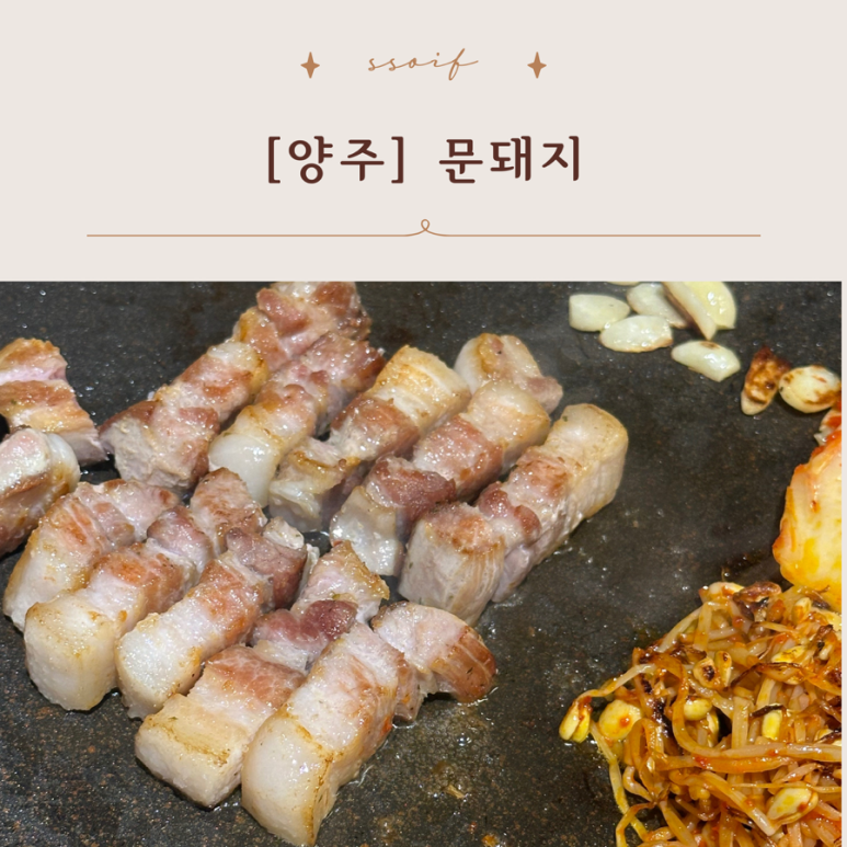 문돼지 이미지