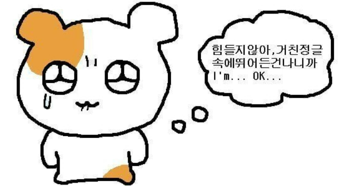 라인피티 이미지