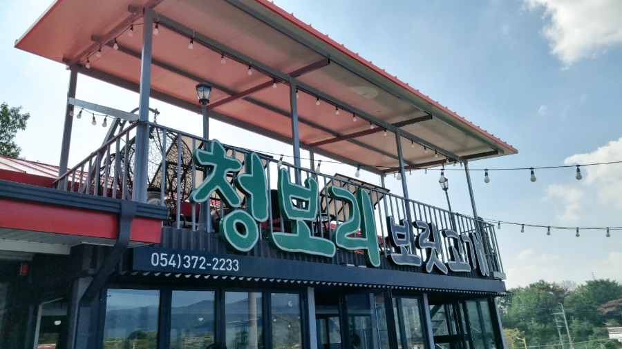 청보리보릿고개 이미지