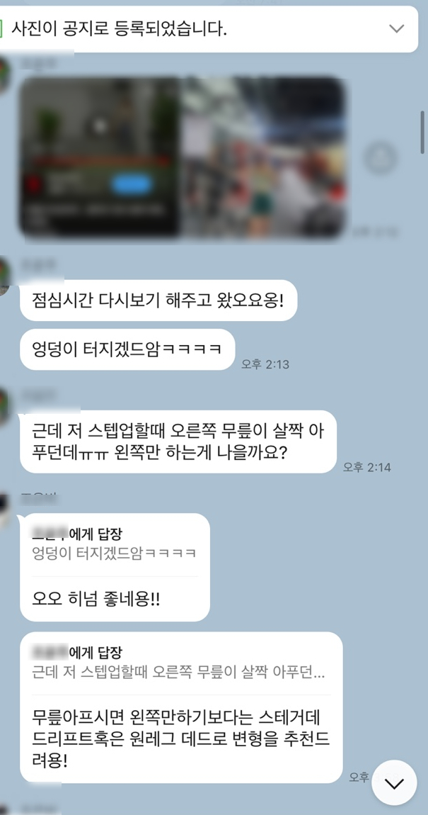 라인피티 이미지