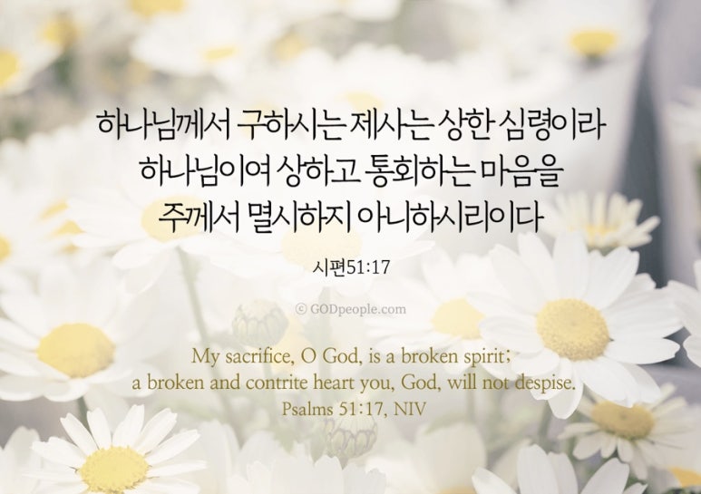 그안 이미지