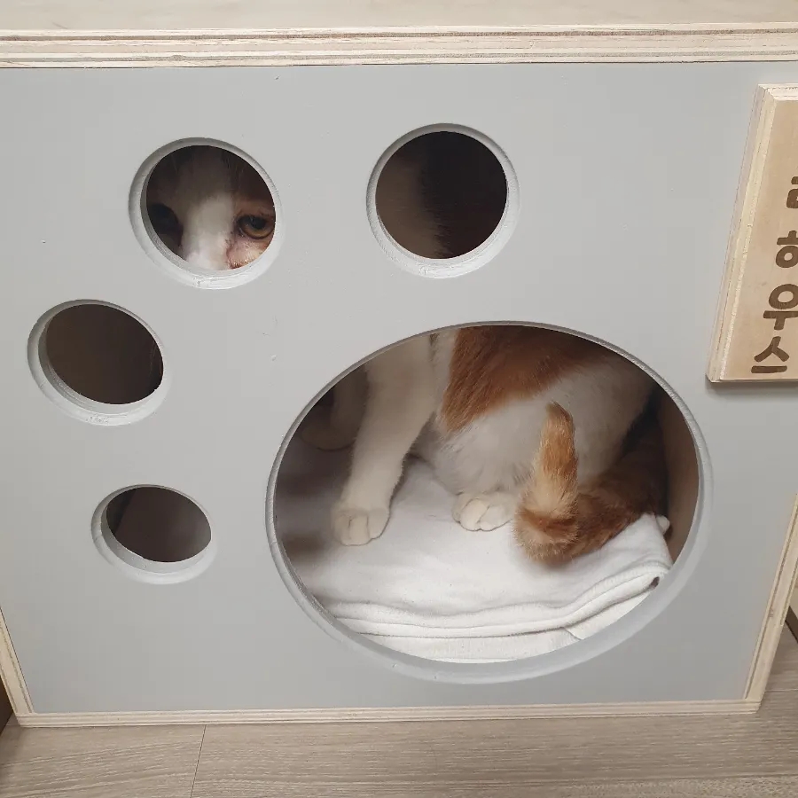 숨숨집 이미지