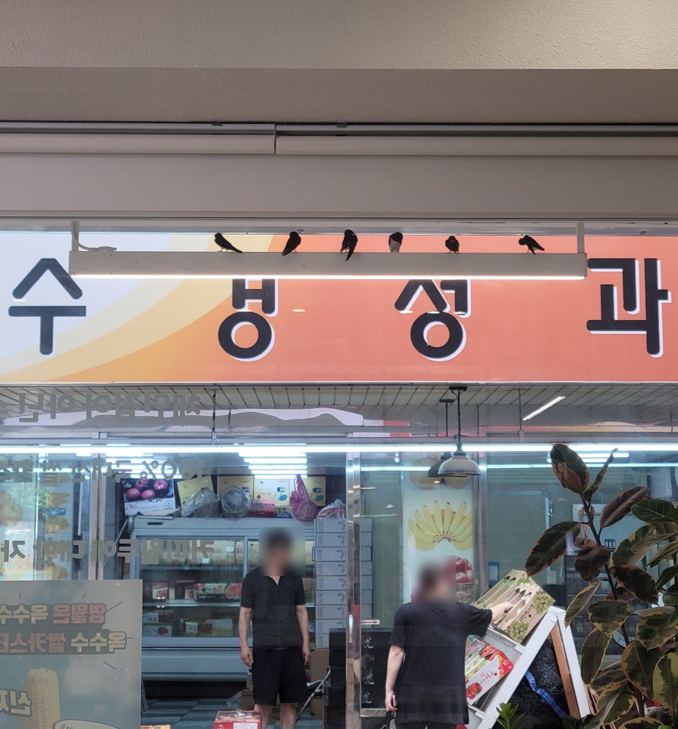 수경청과 이미지