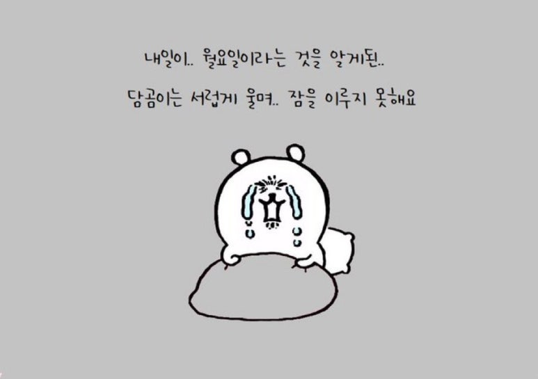 치즈씨 이미지