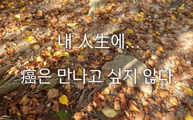 종근당건강 헬스벨스토리 의정부가능점 이미지