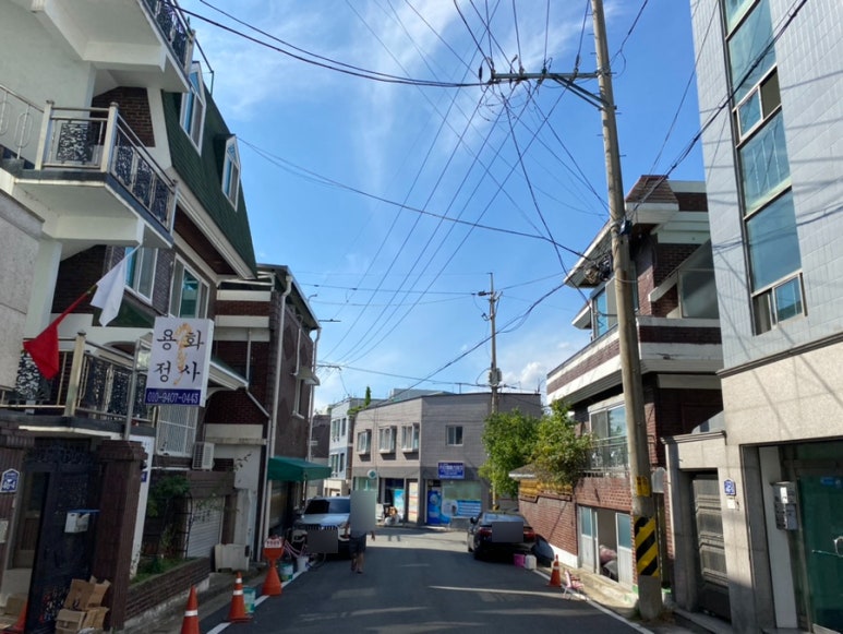 벽산청과 이미지