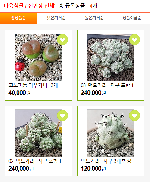 꽃피는뜰 이미지