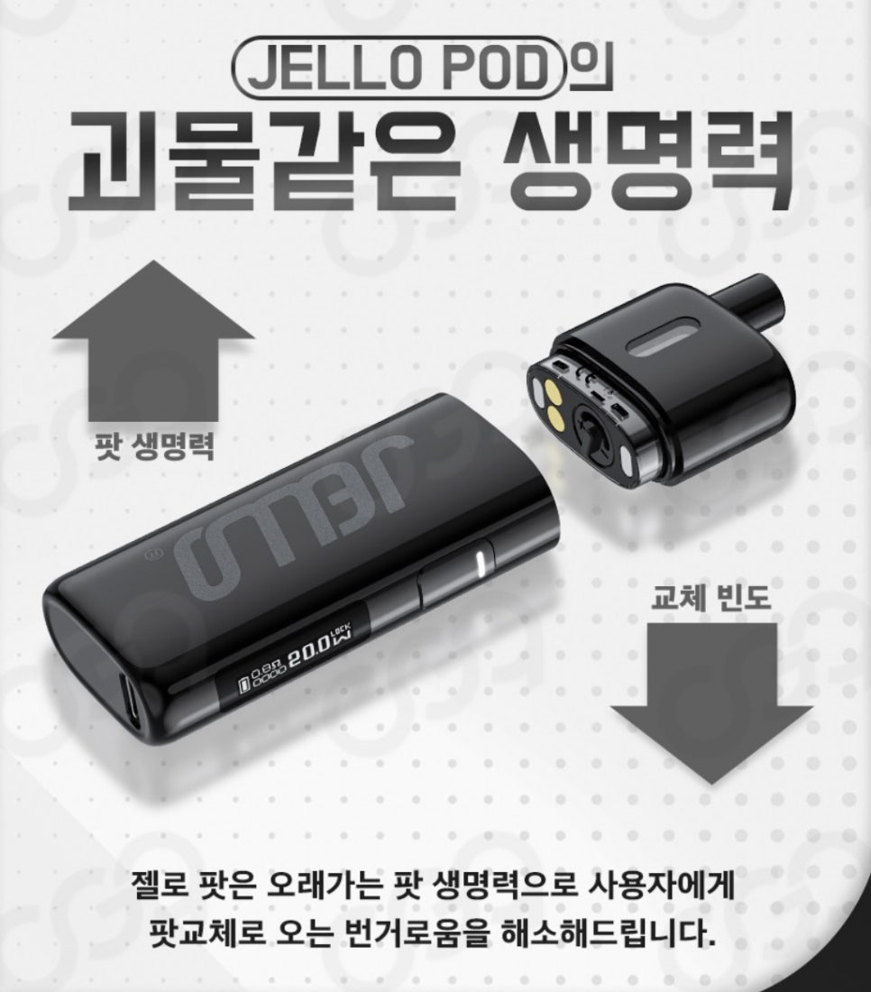 잠실너구리 이미지