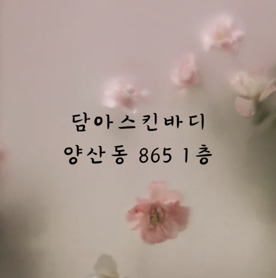 담아스킨바디 이미지