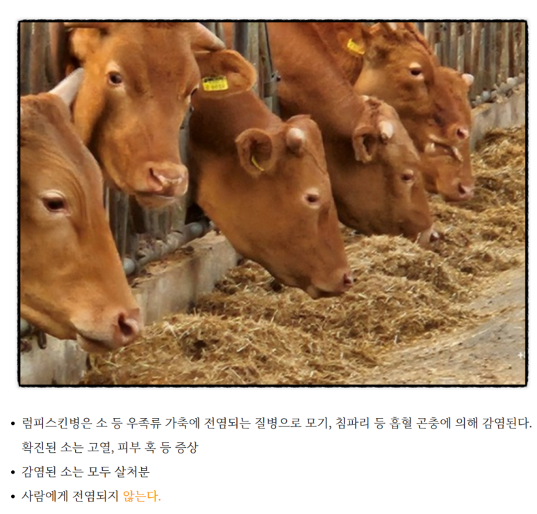 에스지에프앤비 이미지
