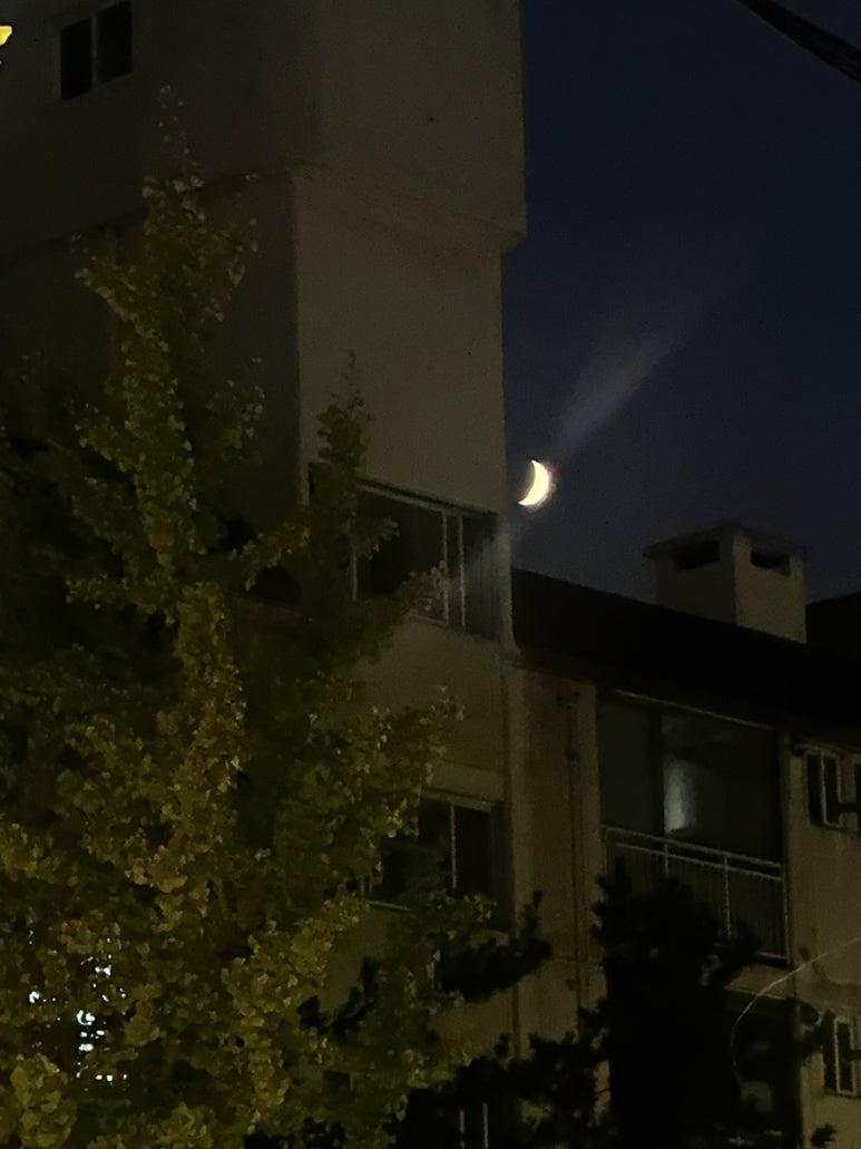흥덕뒷고기 이미지
