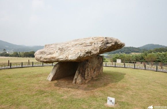 새싹존크린센터 이미지