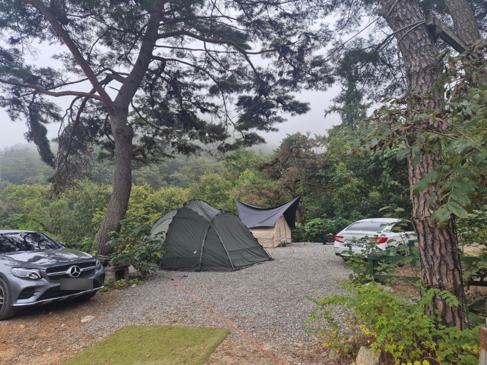 두미리관광농원 이미지