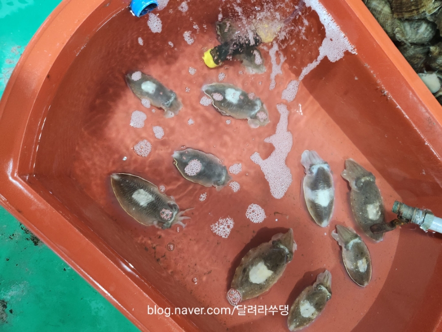 미리내매운탕 이미지