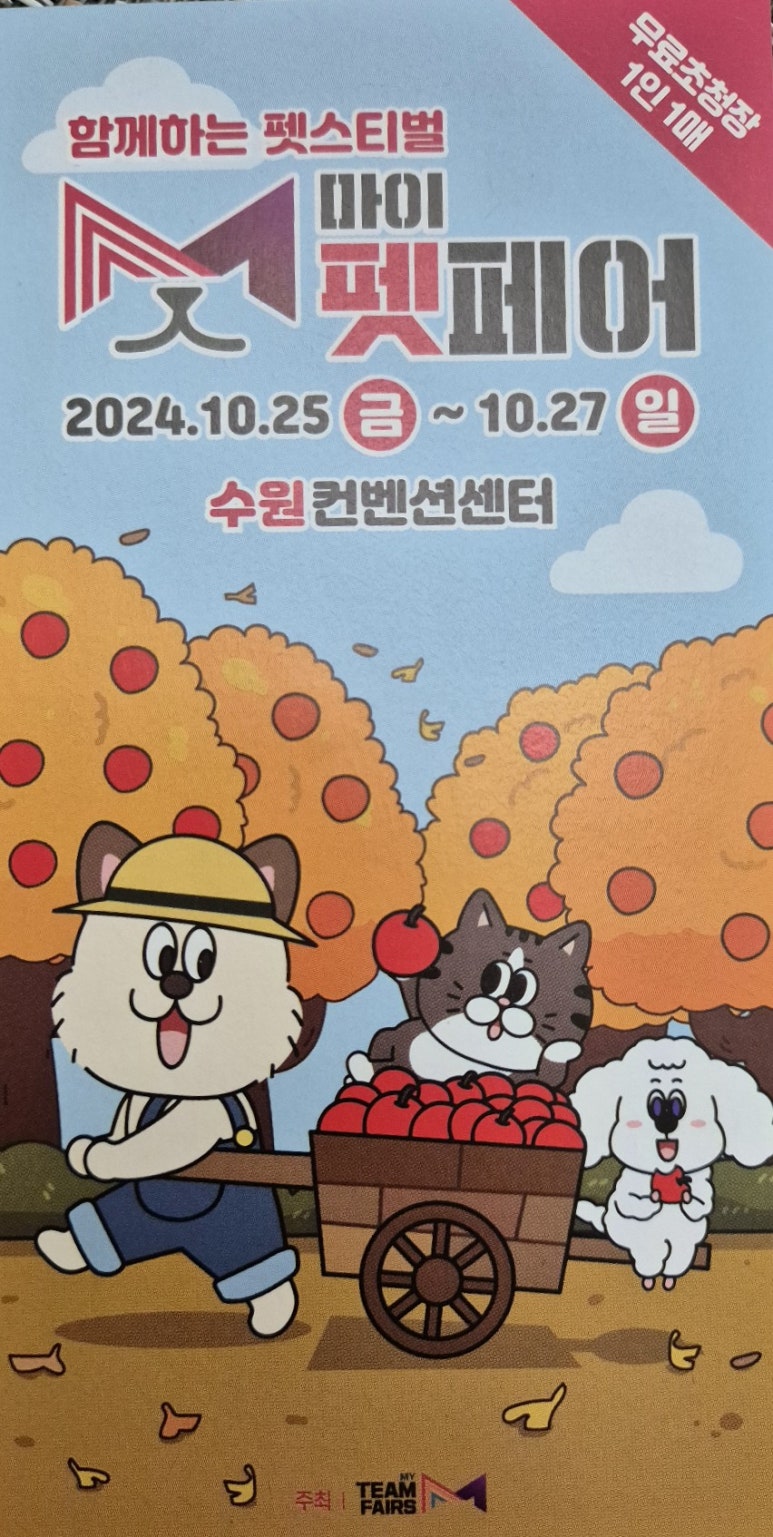 마이팀페어스 이미지