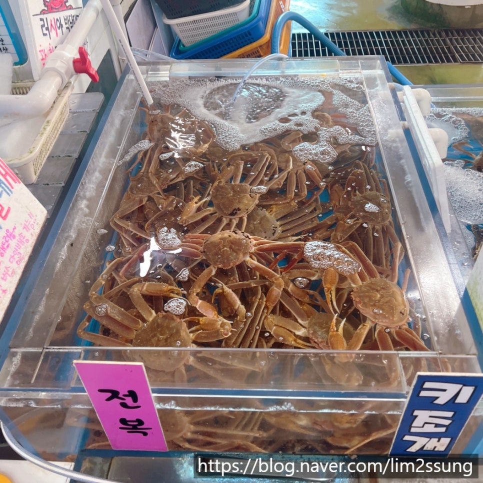 오류수산 이미지