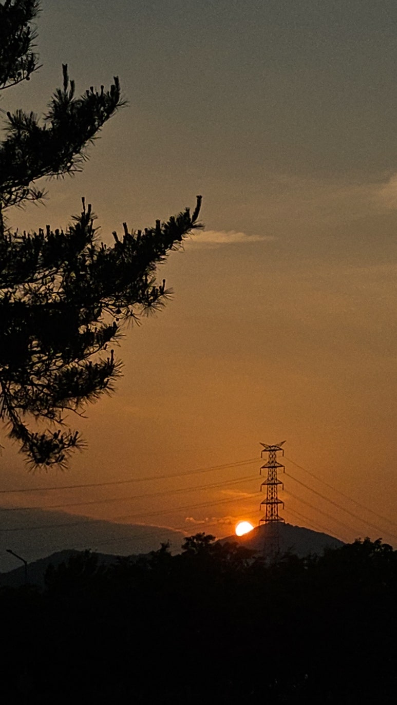 호텔 호자 이미지