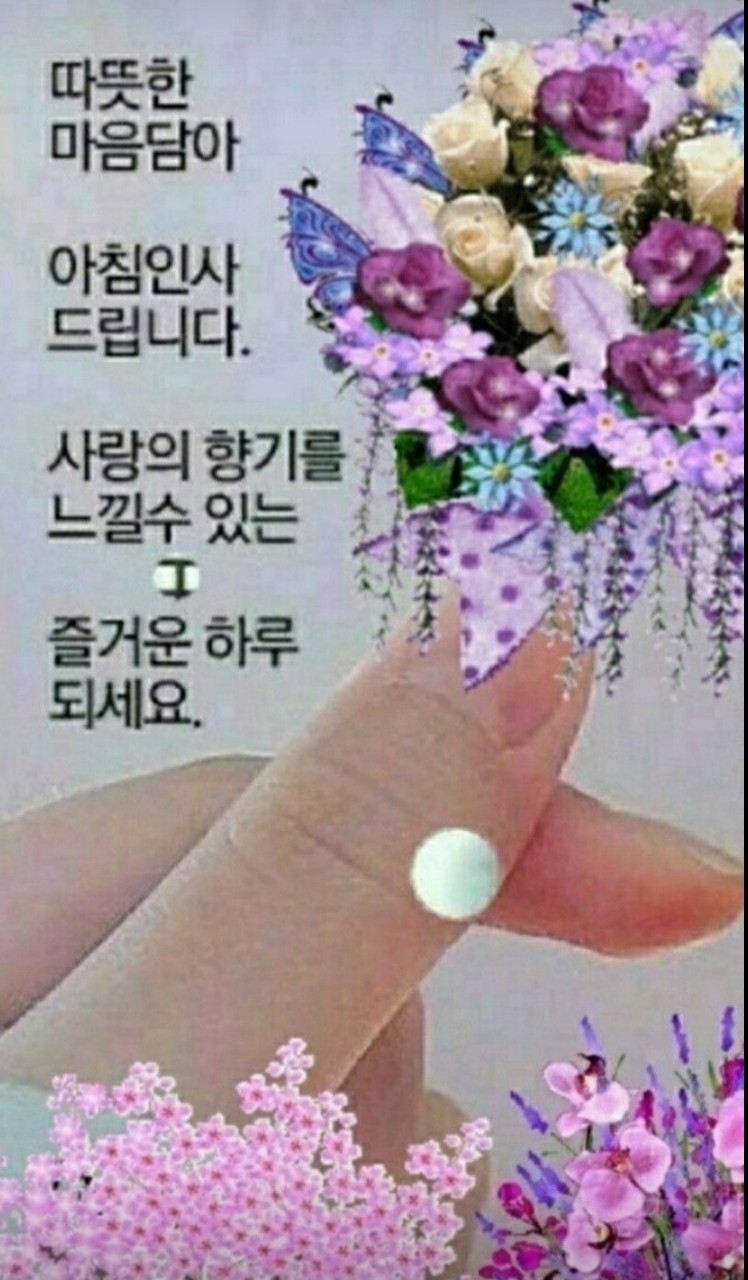 낭만포차한식점심부페 이미지