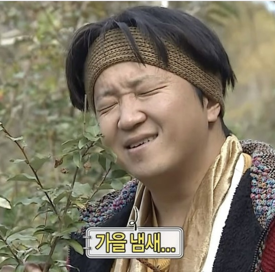 영짐 이미지