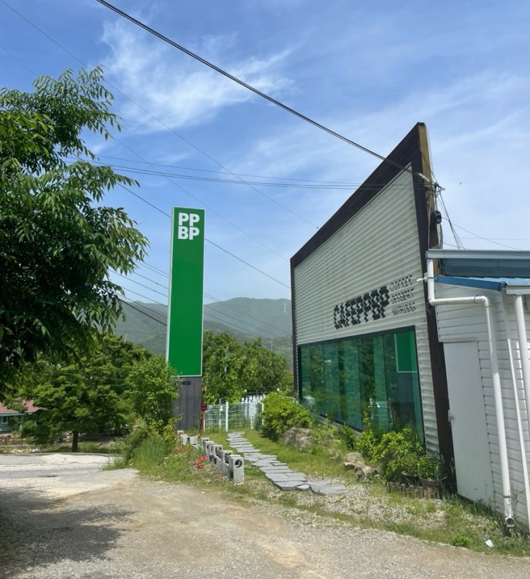 피피비피 이미지