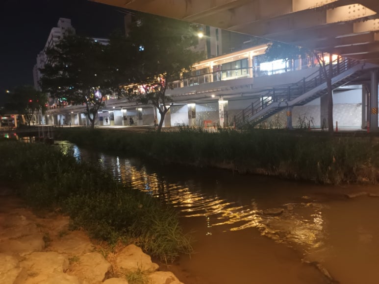 별빛족발 이미지