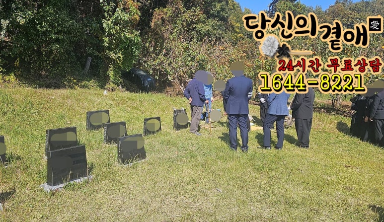 곁애 이미지
