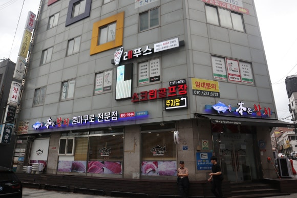 일도참치 이미지