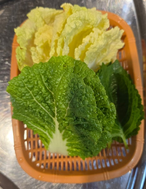 진배기 아나고 곰장어 이미지