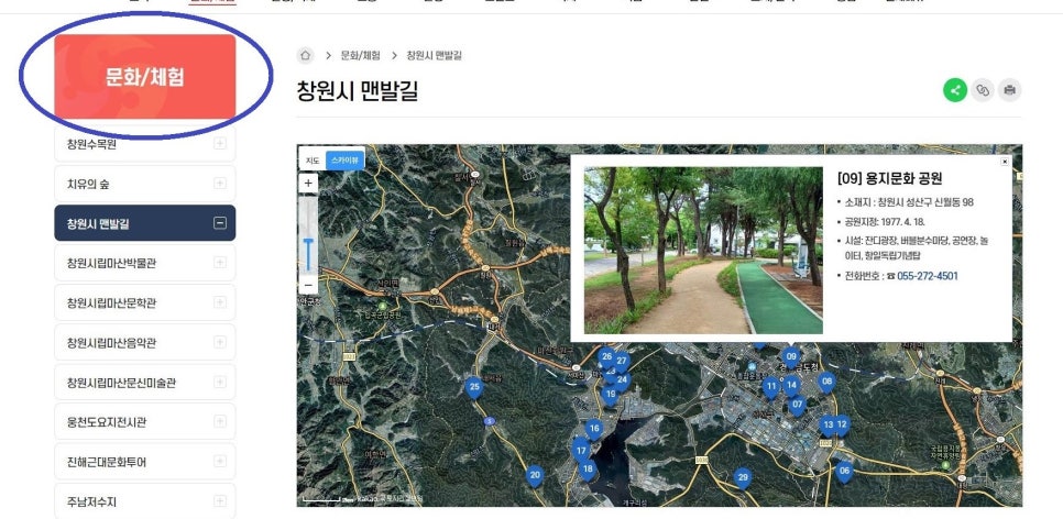 숲길발길 이미지